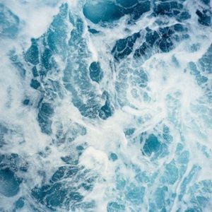 Meet your Posher, Tivoli